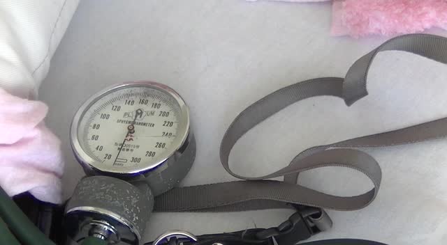 動画3-2　Korotkoff音（本症例）