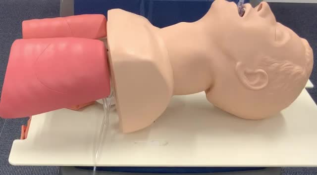 動画66-1　シミュレータで再現したKussmaul呼吸...