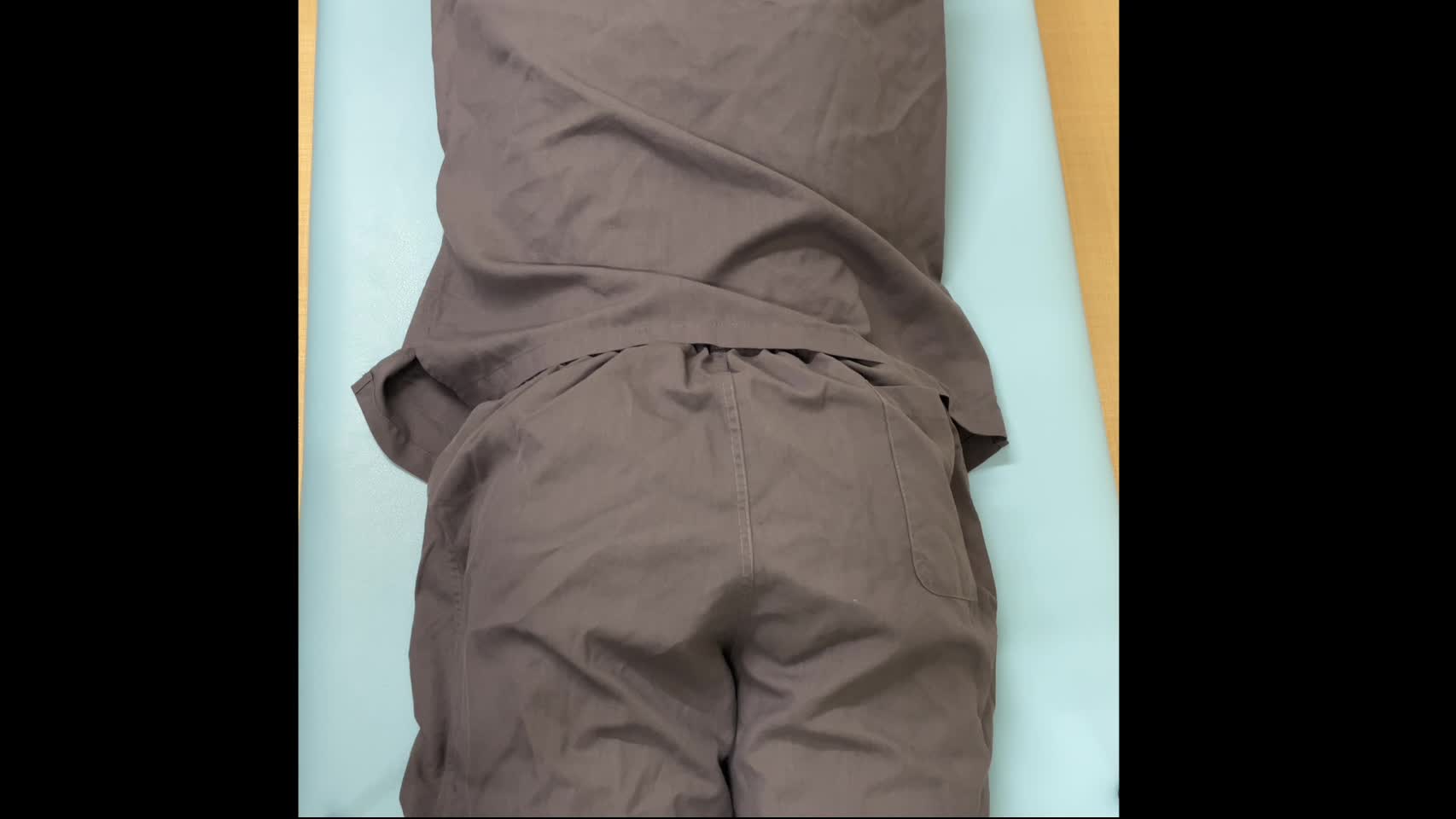 動画4　Newtonテスト変法（modified Newton test）...